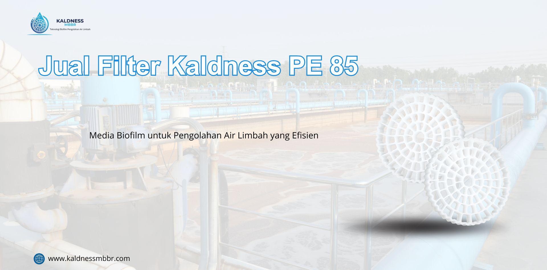 Jual Filter Kaldness PE 85